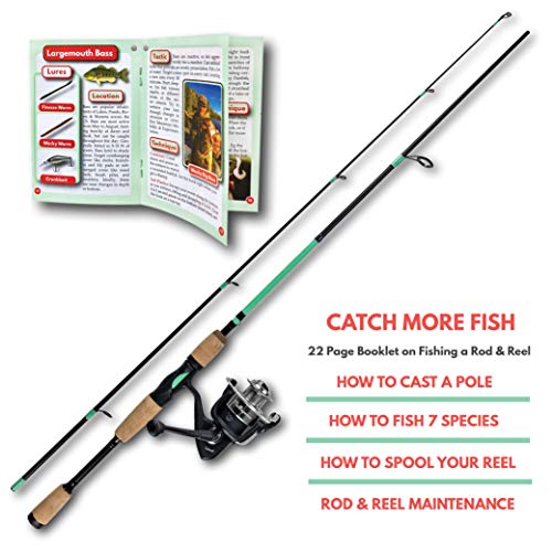 Tailored Tackle Universal Multispecies Rod and Reel Combo Fishing Pole | Freshwater & Inshore Saltwater | Poles 6 Ft 6 in Rods Medium Fast Action | Spinning Reels 7BB | Combos L & R Handed