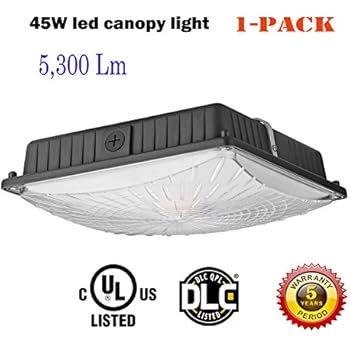 1000LED LED Canopy Light, 45W 5,300 Lumens, 200W HID/HPS Replacement,10