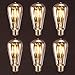 Antique LED Bulb, Oak Leaf 4w ST64 Vintage Edison Light Bulb LED Lighting Soft White 2700K pack of 6