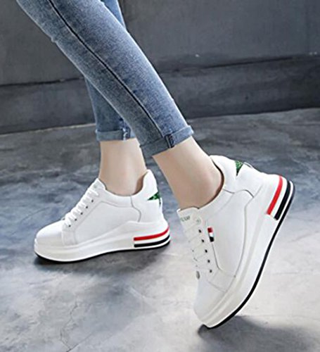 hidden platform trainers