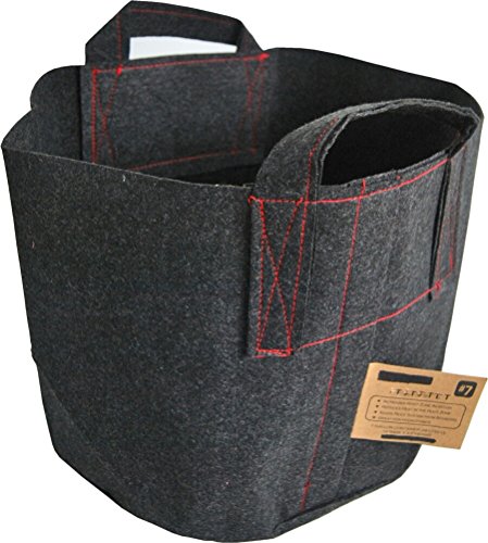 GARDENBYRD – Grow Bags, Fabric Grow Pots, 5 Gallon, Black