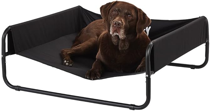 best dog fence for large dogs