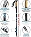 FREEMOVE Trekking Poles Collapsible, Lightweight Ultra Strong Aluminum 7075 Sticks for Hiking and Walking with Cork Grips, Quick Locks, Fully Equiped Accessories Gear for Men and Women