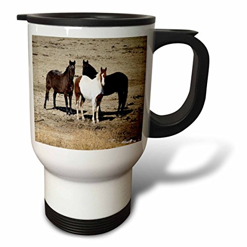 3dRose TDSwhite â€“ Horse Equine Photos - Pasture Trio Three Horses - 14oz Stainless Steel Travel Mug (tm_285533_1)