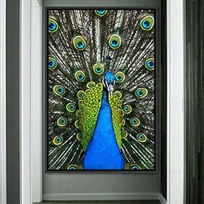 signwin Framed Canvas Wall Art Single Bird Birds...