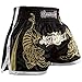 Hayabusa Male Hayabusa Muay Thai Shorts
