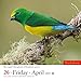 Audubon Birds Page-A-Day Calendar 2019