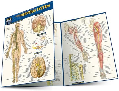 Anatomy Easel Book: a QuickStudy Reference Tool (Quick Study Easel