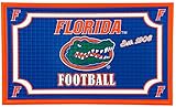Team Sports America 41EM939 Florida Embossed Door Mat, Multicolor
