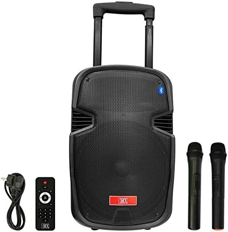 Skin4gadgets MX Professional 12" Portable Multimedia Audio Trolley Speakers with Connectivity