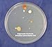 Nutrient Agar 100 grams
