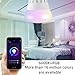 DAILYCOMB E27 Wi-Fi Smart Light Bulb, A19 LED, Dimmable Multicolor,No Hub Required, Free APP and Voice Control, Compatible with Amazon Alexa and Google Assistant(3 Pack)