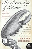 The Secret Life of Lobsters: How Fishermen and Scientists Are Unraveling the Mysteries of Our Favorite Crustacean (P.S.)