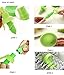 Citrus Sprayer / Juice Sprayer / Lemon Sprayer / Lime Juice Extractor / Salad Sprayer