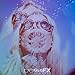 GloFX Ultimate Kaleidoscope Glasses - Clear - Rainbow EDM Rave Light Diffraction Eyewear (Clear)