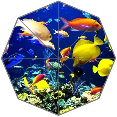 DailyLifeDepot Generic Totes Compact Lightweight Open / Close Foldable Rainy / Sunny Gift Custom Rain Umbrella - Undersea World Tropical Fish Colorful Gift Design