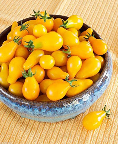 Arlo 50 Yellow Pear Tomato Seeds - Vegetable Seeds Heirloom Cherry Tomato
