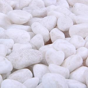 Rocks for Plants, Succulents, Fairy Garden Big 3lb Bulk Bag – 10-15mm Tumbled Crushed Natural White Stone Pebbles for Decorating Bonsai Trees, Zen Garden, Succulent Plants