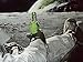 NewBrightBase Astronauts on The Moon Fabric Cloth Rolled Wall Poster Print - Size: (40
