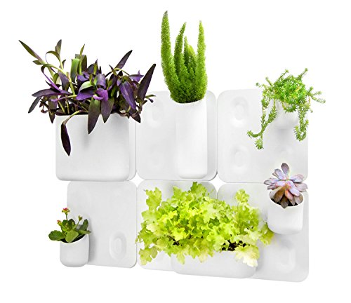 Urbio Big Happy Family Wall Planters