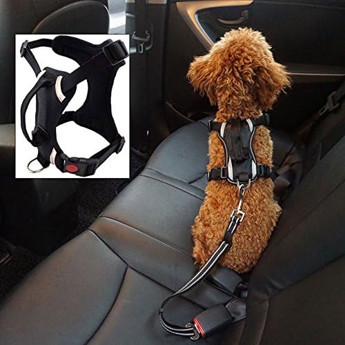 LILY VALLEY Best Front Range Dog Harness Car Safety Vehicle Pet Harness Outdoor Adventure Pet Vest Harness with Handle for Small Medium Large Dogs