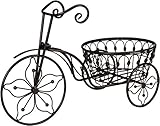 Iron Bicycle Plant Stand
