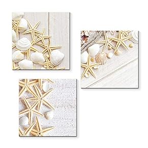 3 Piece Canvas Wall Art for Living Room Bedroom Home Artwork Starfish Shell Fishing Net Sands Beach Paintings Ready to Hang - 12"x12"x3 Panels