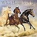 What Horses Teach Us 2018 Calendar