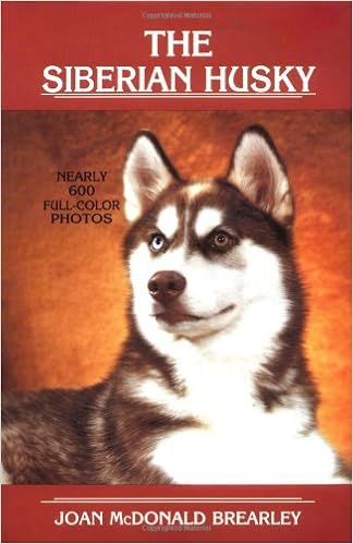 The Siberian Husky �n�[�h�J�o�[ - 1992/6/1