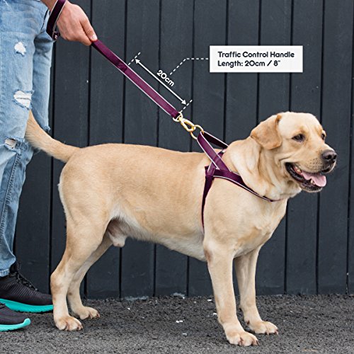 DOGNESS Classic Double Handle Dog Leash, Dual Handle for Traffic Control, Heavy Duty Soft Padded Reflective Nylon, for Walking Training Small Medium Large Dogs, Matching Collar Harness Sold Separately - Thumbnail 6