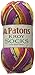Patons Kroy Socks Yarn