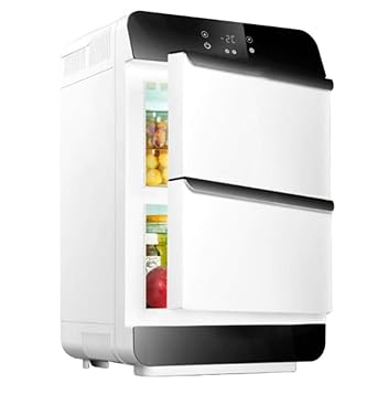 QXCXG Portátil Coche Refrigerador Mini Enfriador Calentador Nc ...