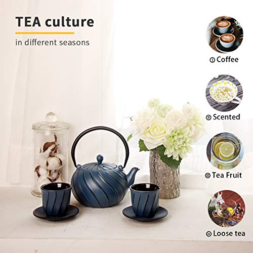 Tea Kettle, TOPTIER Japanese Cast Iron Teapot with Stainless Steel