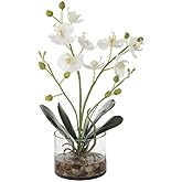 Uttermost Glory Contemporary Polyester Plastic and Iron Orchid in White