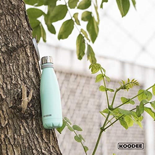 Stainless steel water bottle with a price of $9.33.