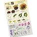 FolkArt One Stroke Beginner Kit by Donna Dewberry