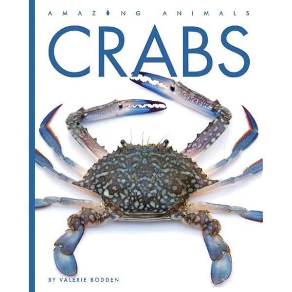 美品★Bing & Grondahl 社「Crab & Fish 」 Crabs: A Global Natural History | Amazon.com.br