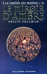 Le  miroir d'ambre