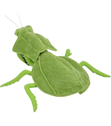 Educational Insect Toy Tiny Heart Green Chinese Mantis Plush - 12 Inch ...