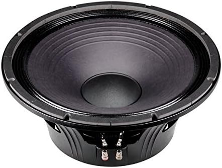 a plus 15 inch speaker