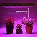 Deckey 225LED Grow Light, Hanging Full Spectrum Plant Grow Lamp with UV IR for Greenhouse Hydroponic Indoor Plants Flower Seed Growth (10W Leds)