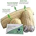 5-Piece Natural Exfoliating Facial, Body, and Back Loofah Pad Scrubber Combo Luffa Set