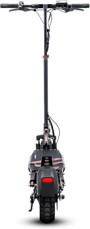 Speedway Pro - Patinete Eléctrico de 48V, 1000W Pot. Máxima, Batería 15Ah, Autonomía 60 Km, Ruedas de 10 Pulgadas Dual Grip, Suspensiones, Triple Frenada, Certificado DGT