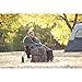 Coleman Oak Point Cool Weather Big and Tall Adult Sleeping Bag