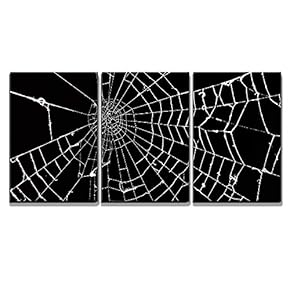 Spider Web on Black Background x3 Panels