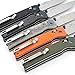 Firebird FB7601 Folding Knife 440C Blade Bearing Axis Lock