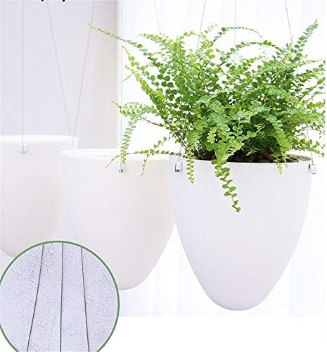 吊るす 植物ホルダー バルコニー天井屋外の庭のための植物ホルダー2パックフラワーポットホルダーハンギングプランターウォールハンギングバスケットホルダーロープをぶら下げ ハンギングバスケット Color White Size Set Of 2 B0whgdqj 2 813円 100 品質
