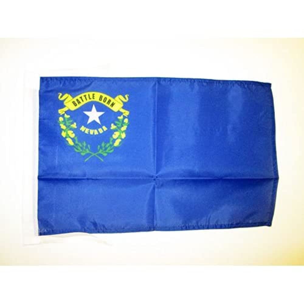 AZ FLAG - Nevada Flag - 18'' x 12'' - 100% Polyester US state of Nevada Small Banner with Two Cords - Fade Resistant - Vivid Colors - 18x12 in - 45x30 Cm โ image 1