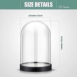 Zhengmy 12 Pcs Plastic Dome Display Case Cloche