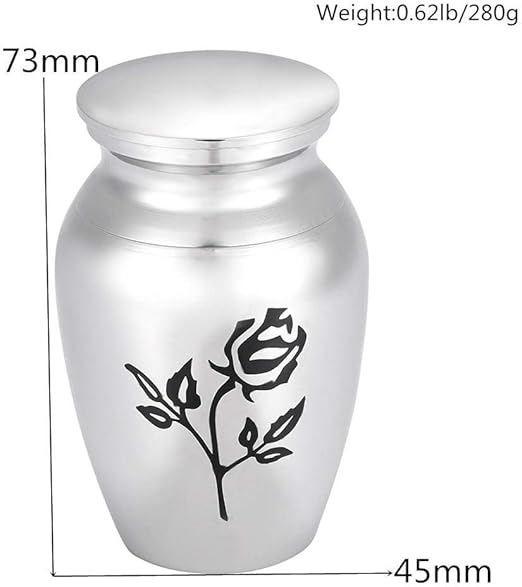 dog urns for ashes amazon